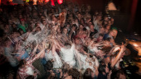 TySegull_PREVIEW_7.jpg