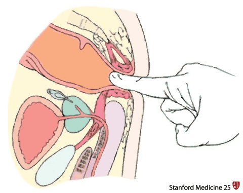 Finger Your Ass Hole 111